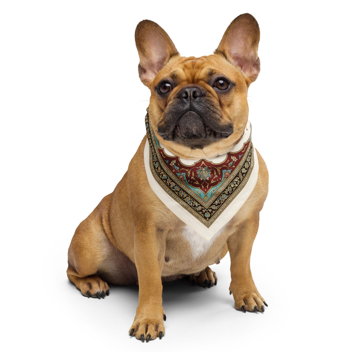 Asle-Khish-All-over print bandana