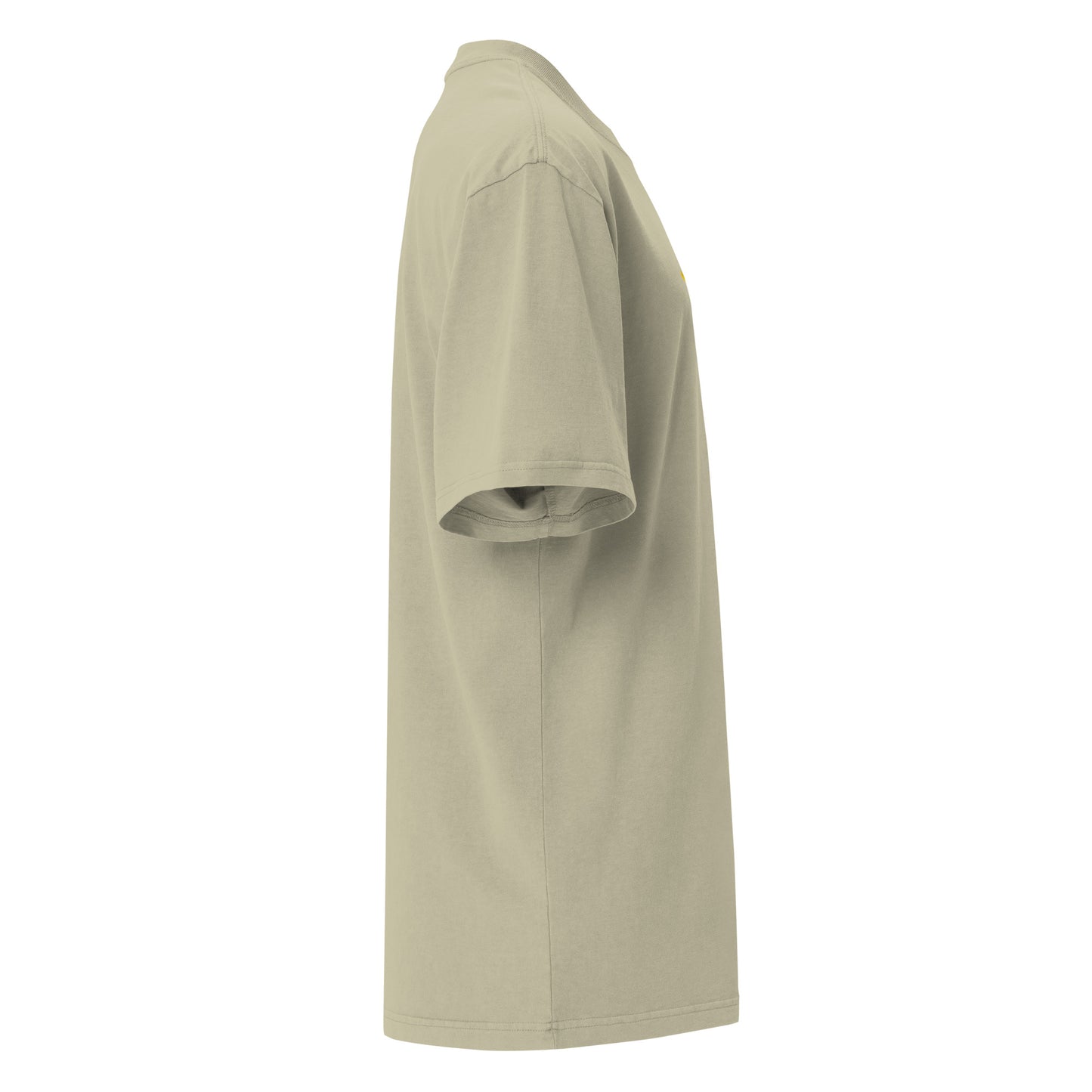 LION-BIG-HEAD1819-GOLDOOZI-Oversized faded t-shirt