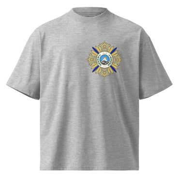 Pahlavi Persian heritage oversized t-shirt in heather grey, front view