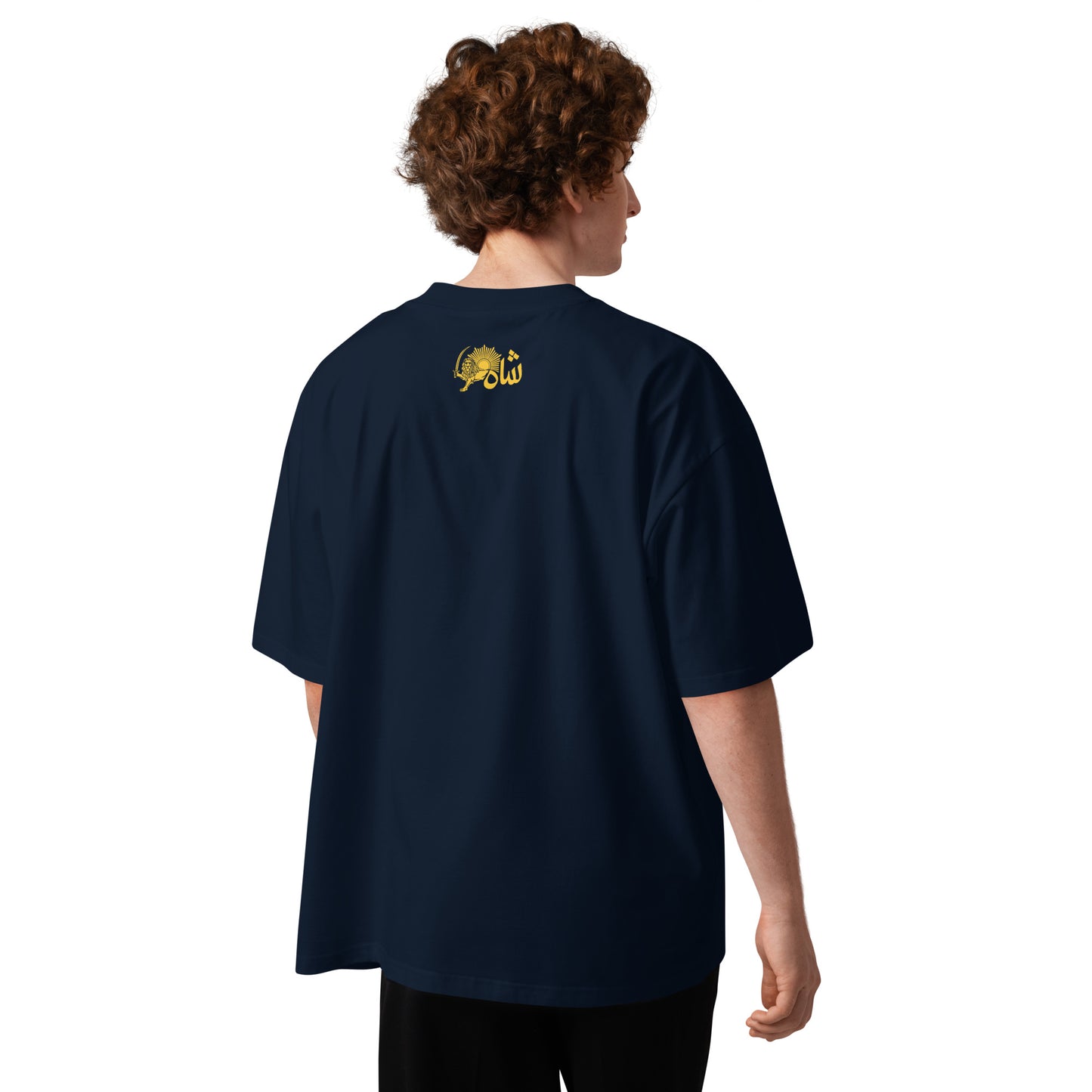 French Navy