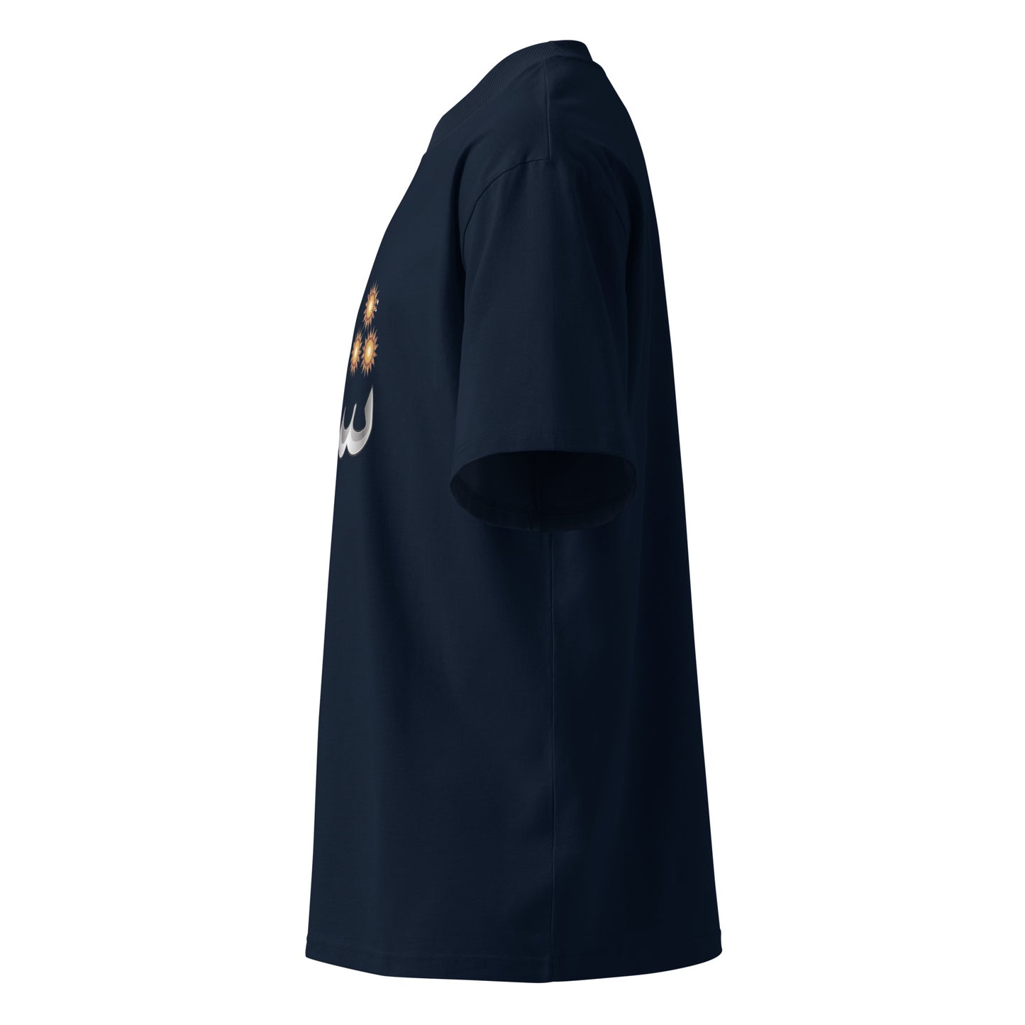 French Navy