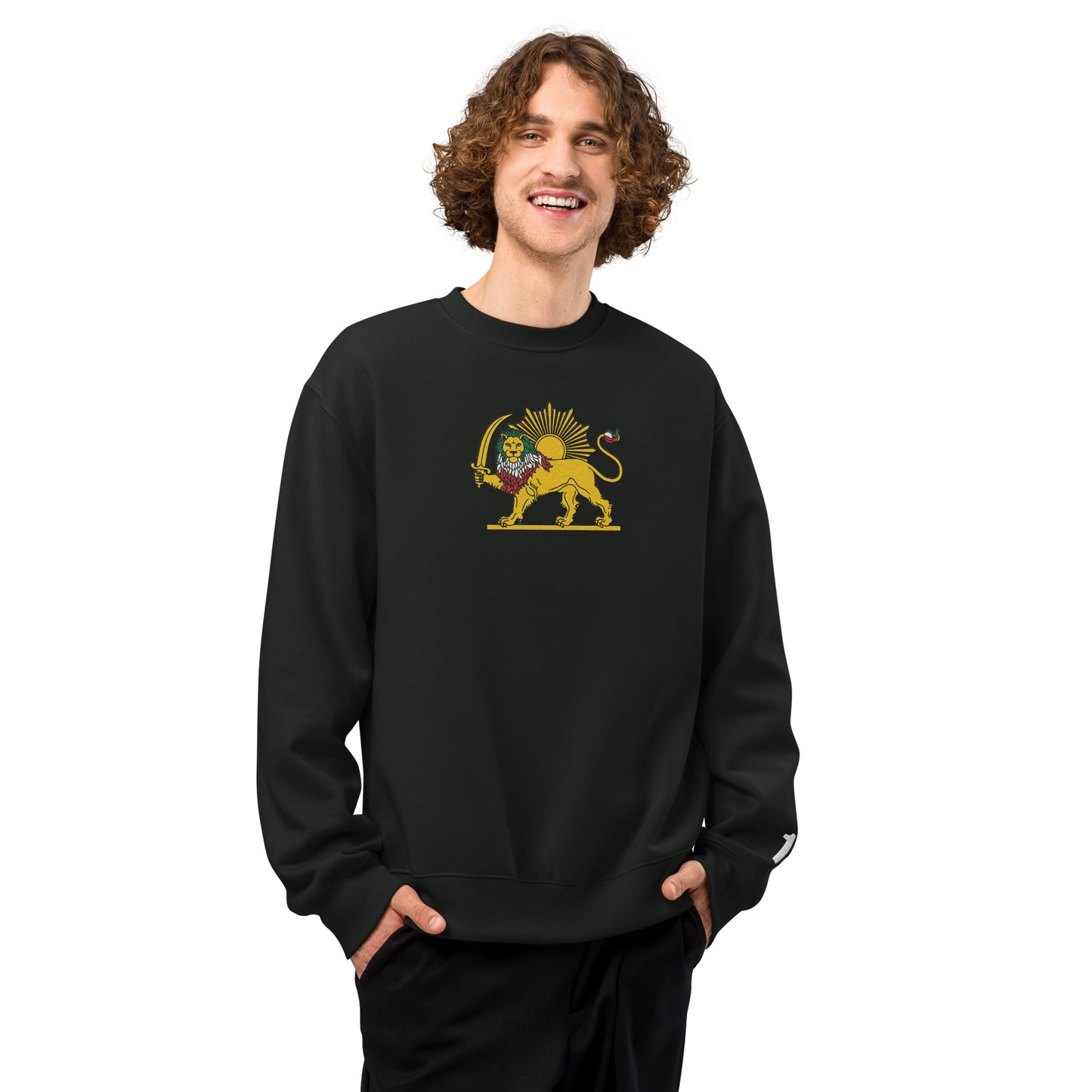 SHIROKHORSHID-18-GOLDOOZI-COLORS-Oversized heavyweight sweatshirt unisex