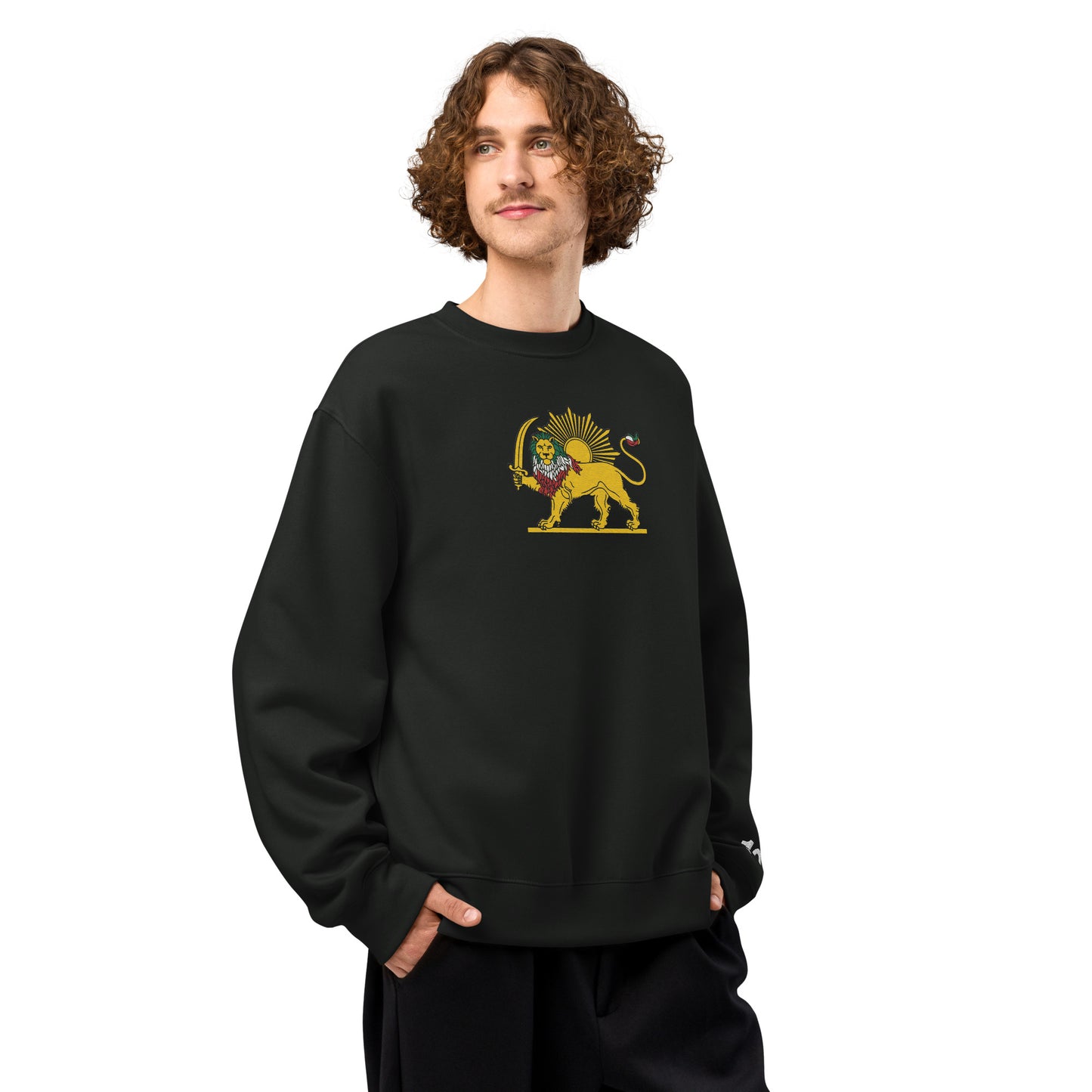 SHIROKHORSHID-18-GOLDOOZI-COLORS-Oversized heavyweight sweatshirt unisex